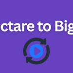 Hectare to Bigha